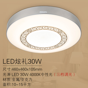 Philips/飞利浦 LED30W