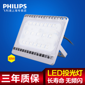 Philips/飞利浦 LED30W