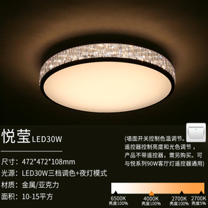 Philips/飞利浦 LED30W