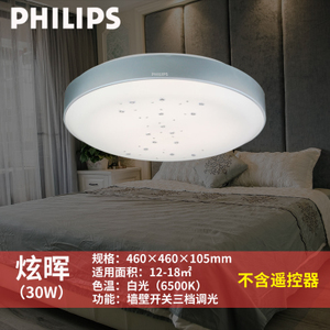 Philips/飞利浦 30W6500K