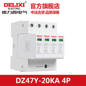 DELIXI ELECTRIC/德力西电气 DZ47Y204