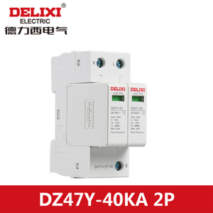 DELIXI ELECTRIC/德力西电气 DZ47Y402