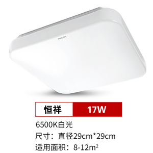 LED17W6500K