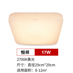 LED17W2700K