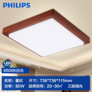 Philips/飞利浦 LED80