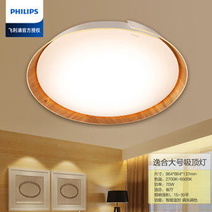 Philips/飞利浦 LED70W