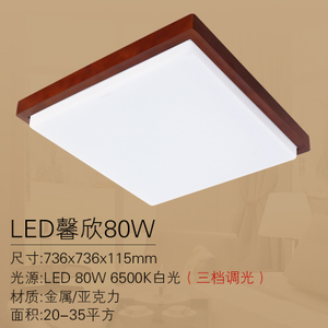 Philips/飞利浦 LED80W6500K736mm