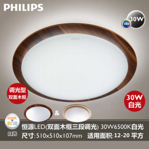 Philips/飞利浦 30w510mm6500k