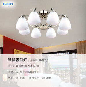 Philips/飞利浦 8XLED8w