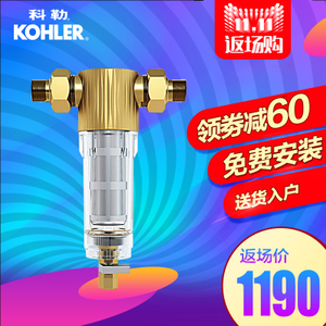 KOHLER/科勒 96024T-PF100-Q73