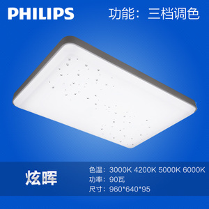 Philips/飞利浦 LED80w96064095mm