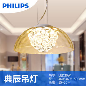 Philips/飞利浦 30w46cm