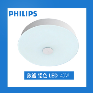 LED49W