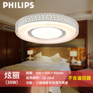 Philips/飞利浦 30W500mm