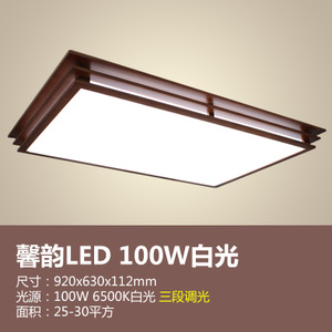 Philips/飞利浦 LED100W6500K920x630x112mm