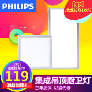 Philips/飞利浦 LED12W99370