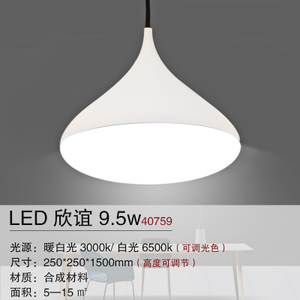 Philips/飞利浦 LED9.5W