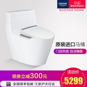 GROHE/高仪 3931600039384L00