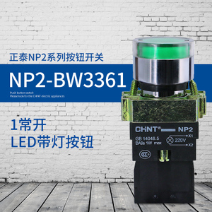 CHNT/正泰 NP2-BW3361