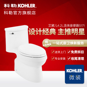 KOHLER/科勒 5171