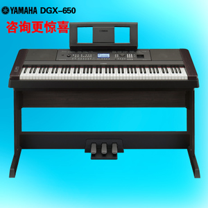 DGX-650