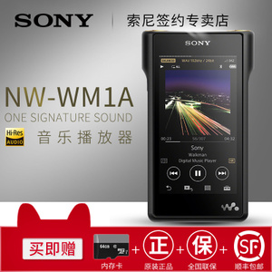 Sony/索尼 NW-WM1A