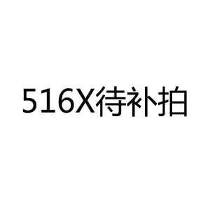 Bosideng/波司登 516X