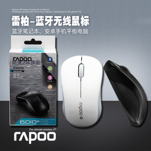 Rapoo/雷柏 6010B