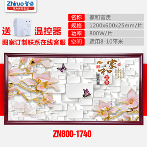 ZN800-1740