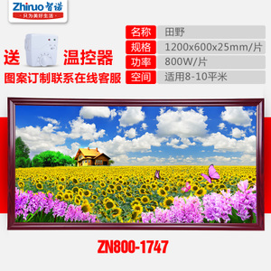 智诺 ZN800-1747