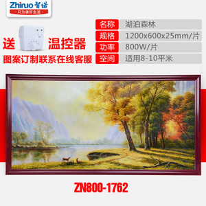 智诺 ZN800-1762