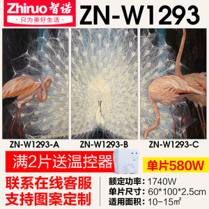 ZN-W1293