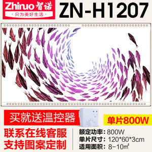 ZN-H1207