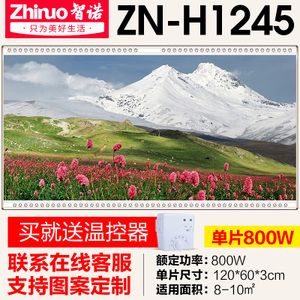 ZN-H1245