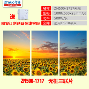 ZN500-1717