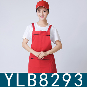 YLB8293