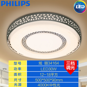 Philips/飞利浦 30W4000K50CM