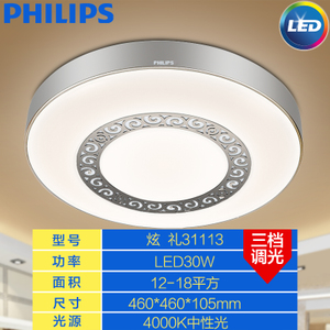 Philips/飞利浦 30W4000K46CM