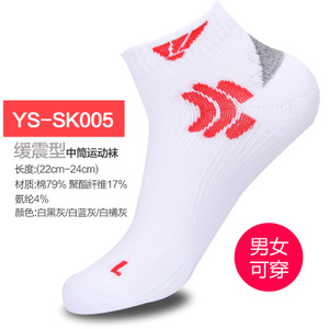 YS-SK005