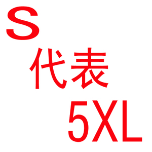 S5XL
