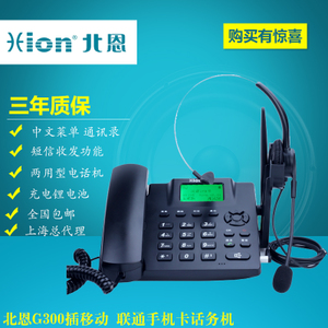 Hion/北恩 G300