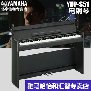 YDP-S51