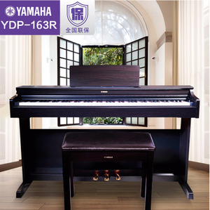 Yamaha/雅马哈 YDP-163