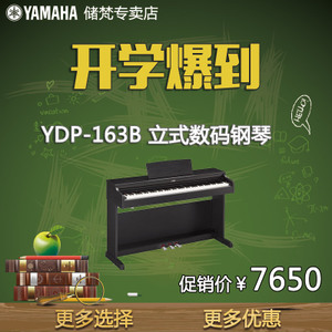 Yamaha/雅马哈 YDP-163