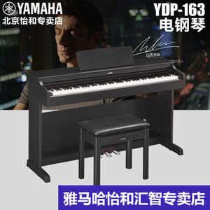 Yamaha/雅马哈 YDP-163