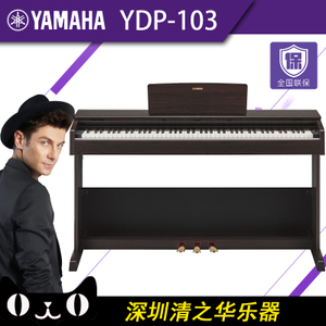 Yamaha/雅马哈 YDP-103R