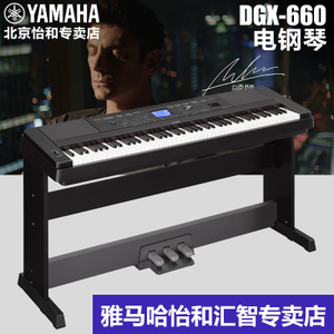 Yamaha/雅马哈 DGX-660