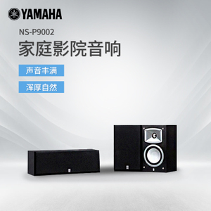 Yamaha/雅马哈 NS-P9002