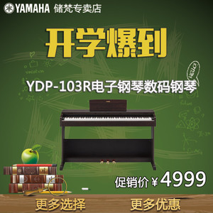 Yamaha/雅马哈 YDP-103