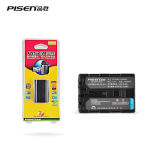 Pisen/品胜 TS-DV001-FM500H